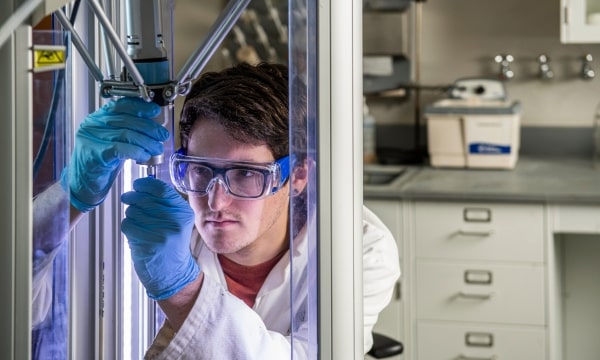 Student working diligently in a lab closely student what they are looking at